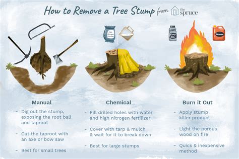 How to remove a stump. Things To Know About How to remove a stump. 